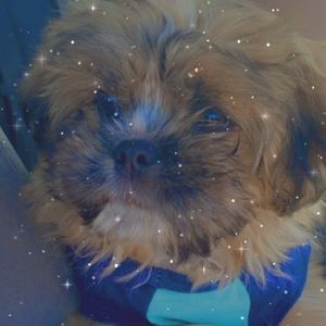 Meet your Posher, Luxuryhi